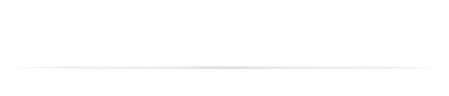 Levanidze logo